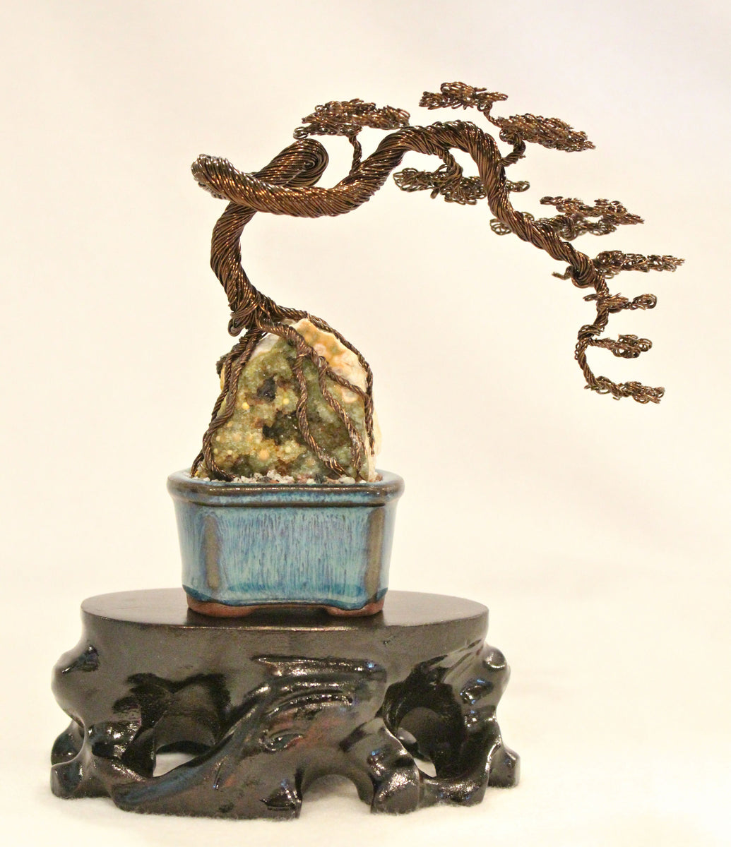 Root-over-Rock Cascade Bonsai on Agate - SOLD  Forests and Flowers