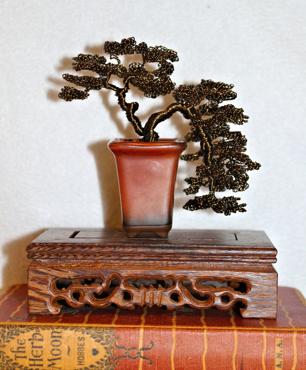 han kengai bonsai Leafy Semi-Cascade Han-Kengai Bonsai – Forests and Flowers