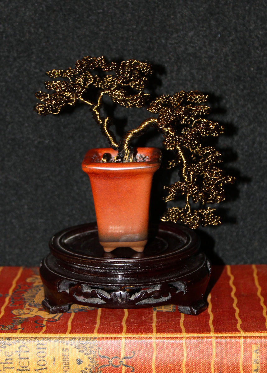 Leafy Semi-Cascade Han-Kengai Bonsai – Forests and Flowers