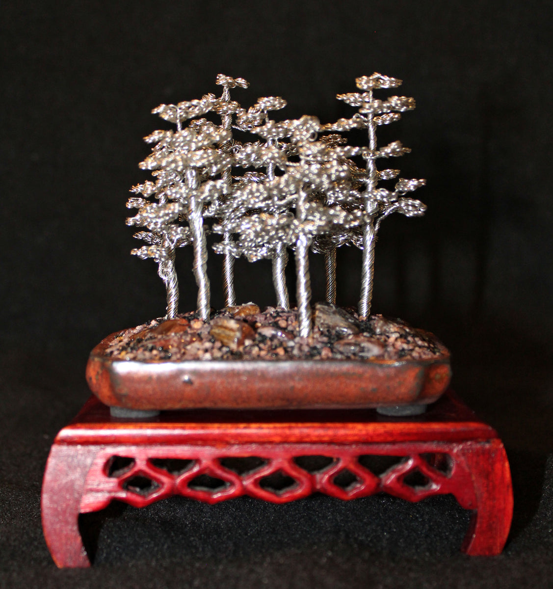 mini pine tree bonsai Mini Silver Pine Tree Bonsai Forest
