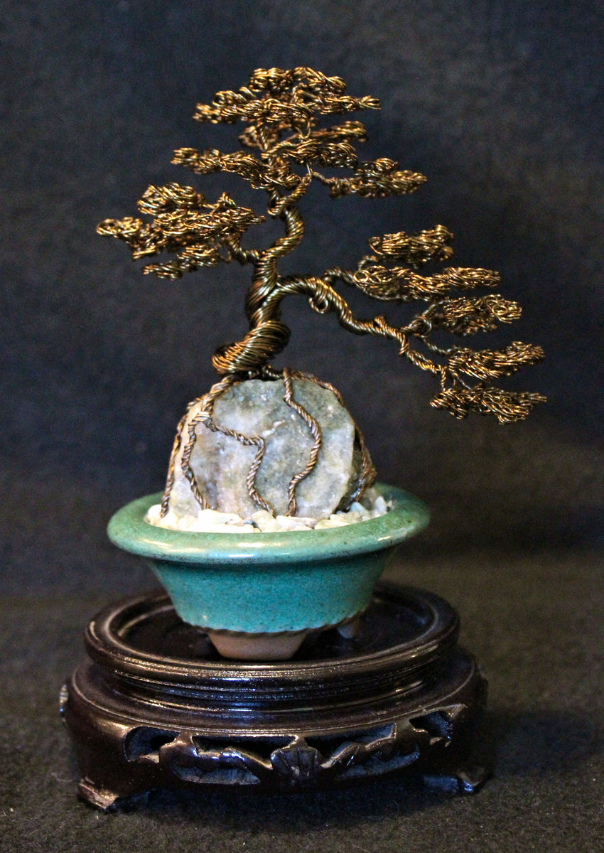 Root-over-Rock Seki-joju Bonsai on Agate and Jade
