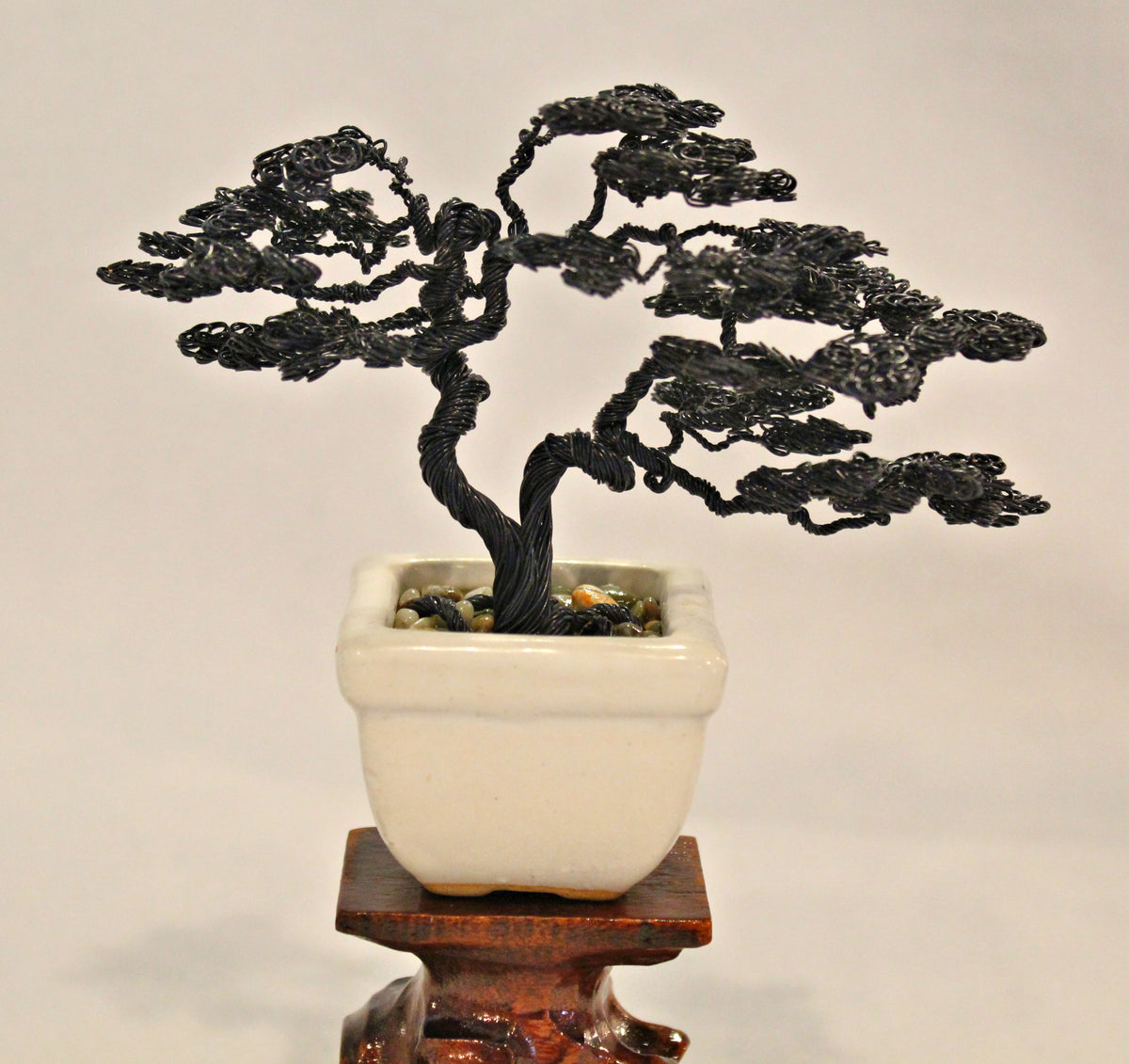Semi-matte Black Twin Trunk Sokan Bonsai