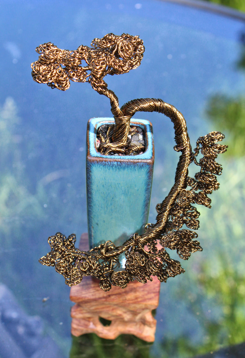 Tall Bronze Curved Semi-Cascade Bonsai Tree - SOLD  Forests and Flowers