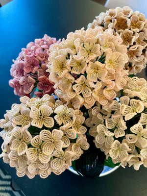 Shades of Pink Hydrangeas