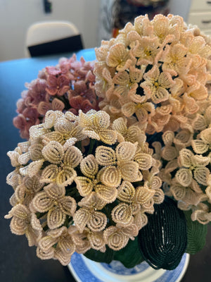 Shades of Pink Hydrangeas