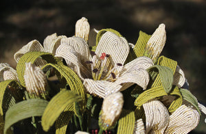 Alida Valli (Asiatic Lilies) - SOLD