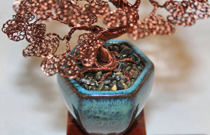 Informal Upright Tall Antique Copper Bonsai - SOLD