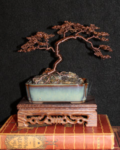 Large Umbrella-style Root-over-Rock Bonsai with Raw Labradorite - SOLD