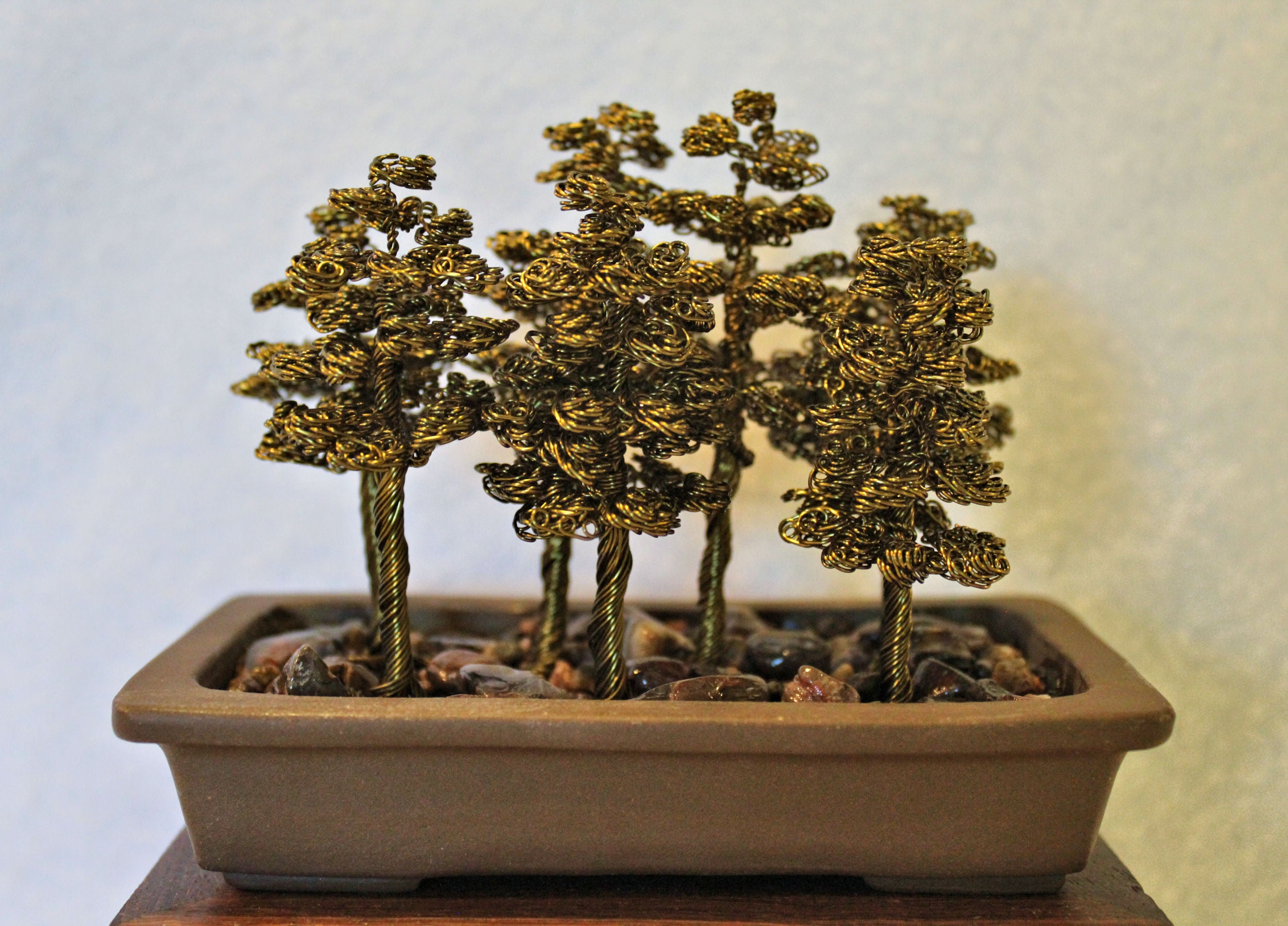 bonsai pine tree Large Bronze Pine Bonsai Forest – Forests and Flowers