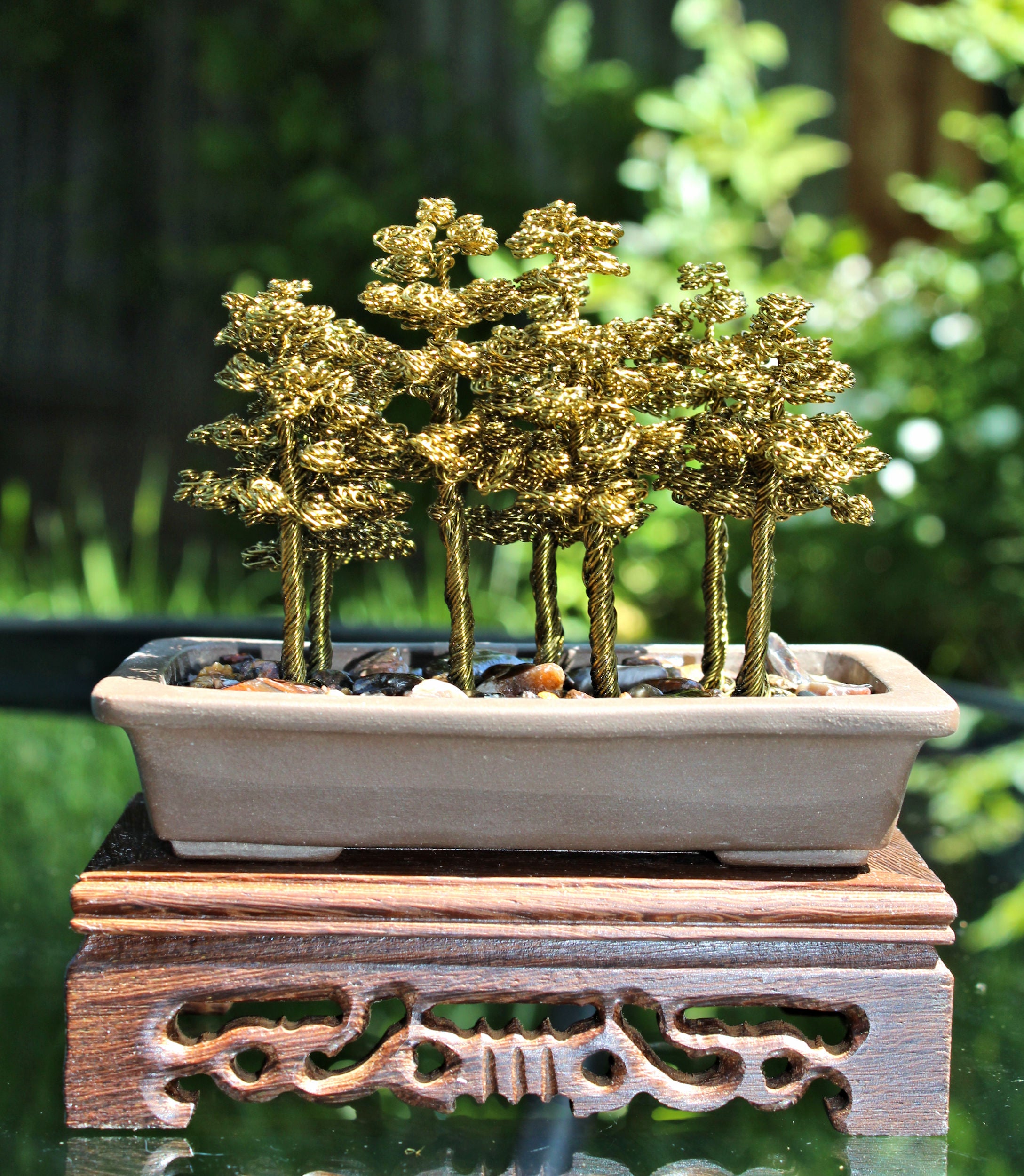 forest bonsai tree Large Bronze Pine Bonsai Forest – Forests and Flowers