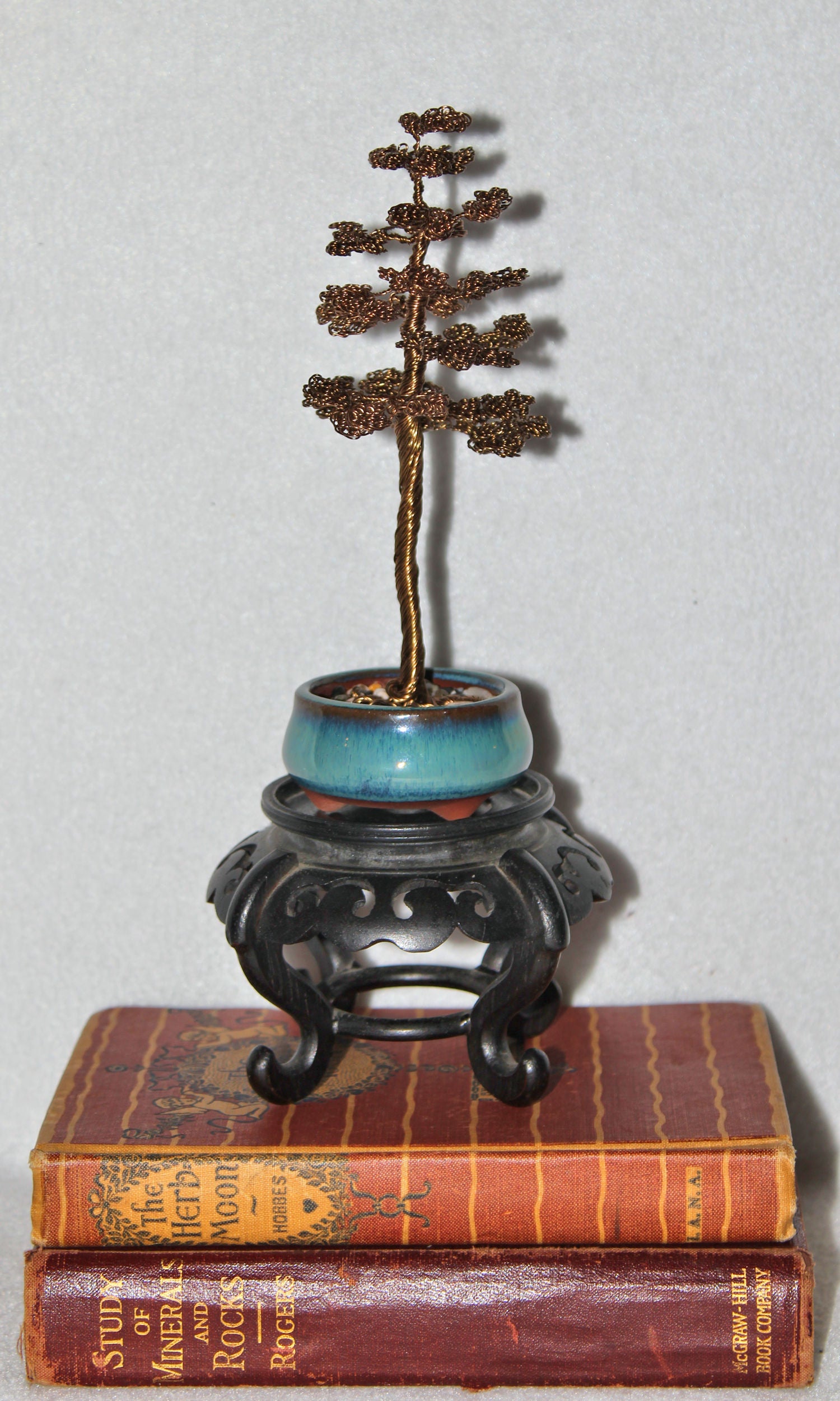 Tall Chokkan Antique Copper Pine Tree Bonsai - SOLD