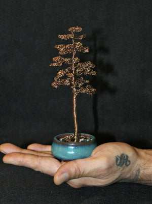 Tall Chokkan Antique Copper Pine Tree Bonsai - SOLD