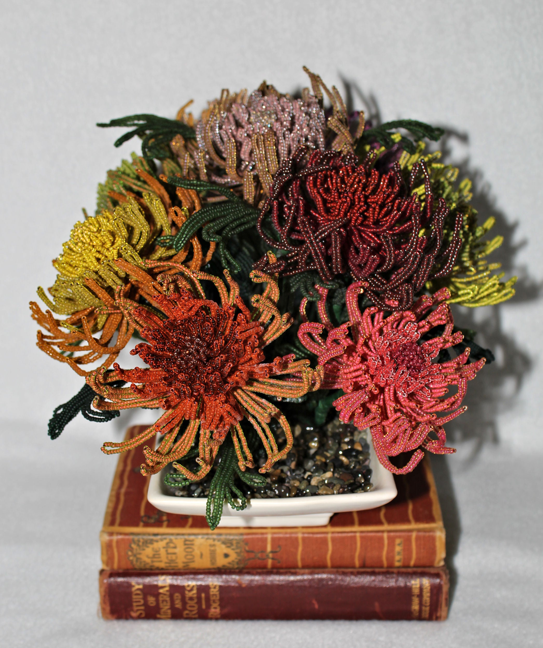 Claudette Colbert (Spider Chrysanthemums) - SOLD