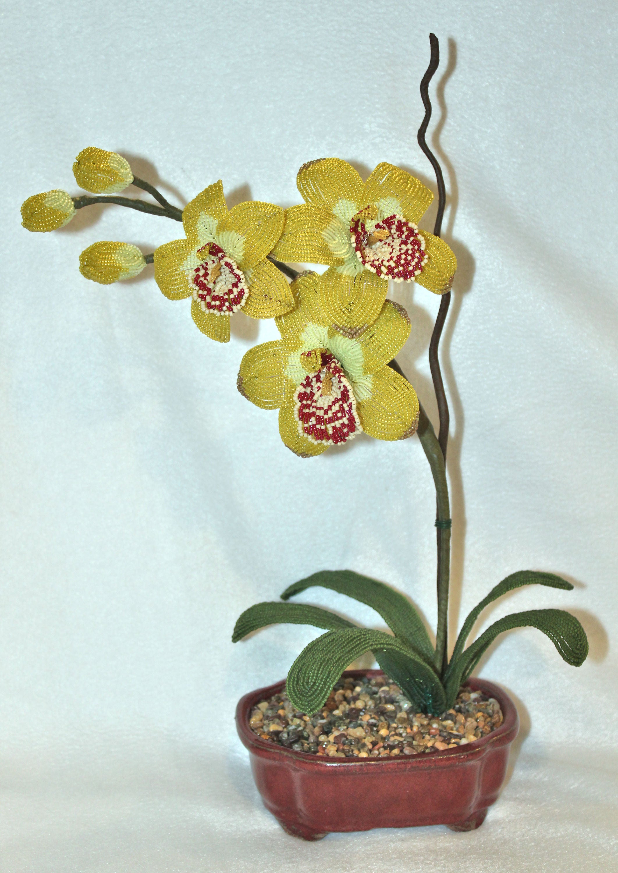 Chartreuse Cymbidium Orchid - SOLD