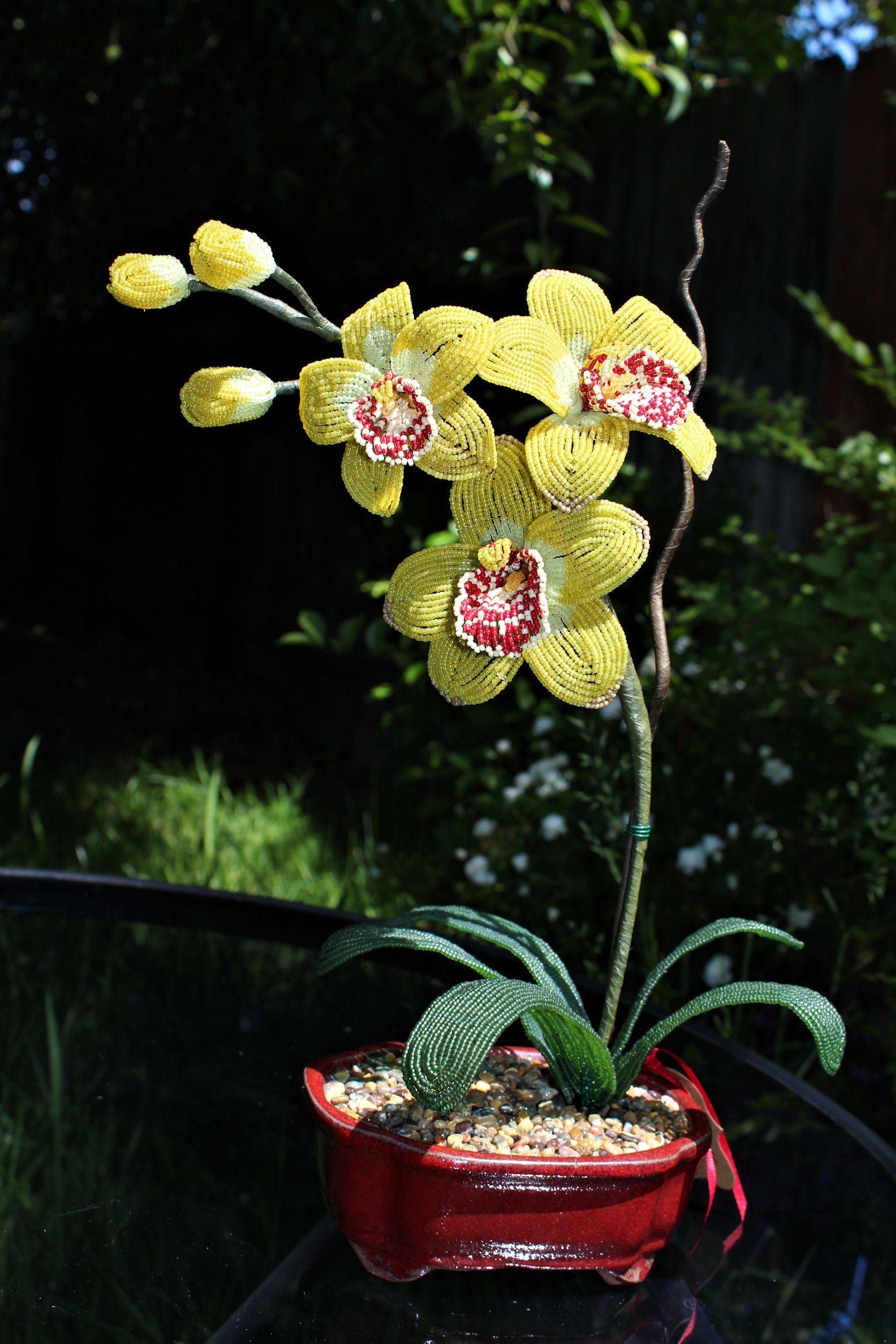 Chartreuse Cymbidium Orchid - SOLD