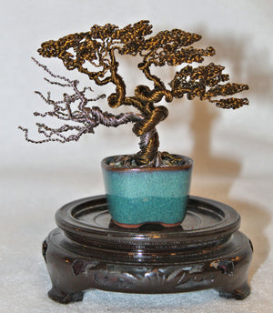 dead bonsai tree for sale Informal Upright Bonsai with Dead Wood