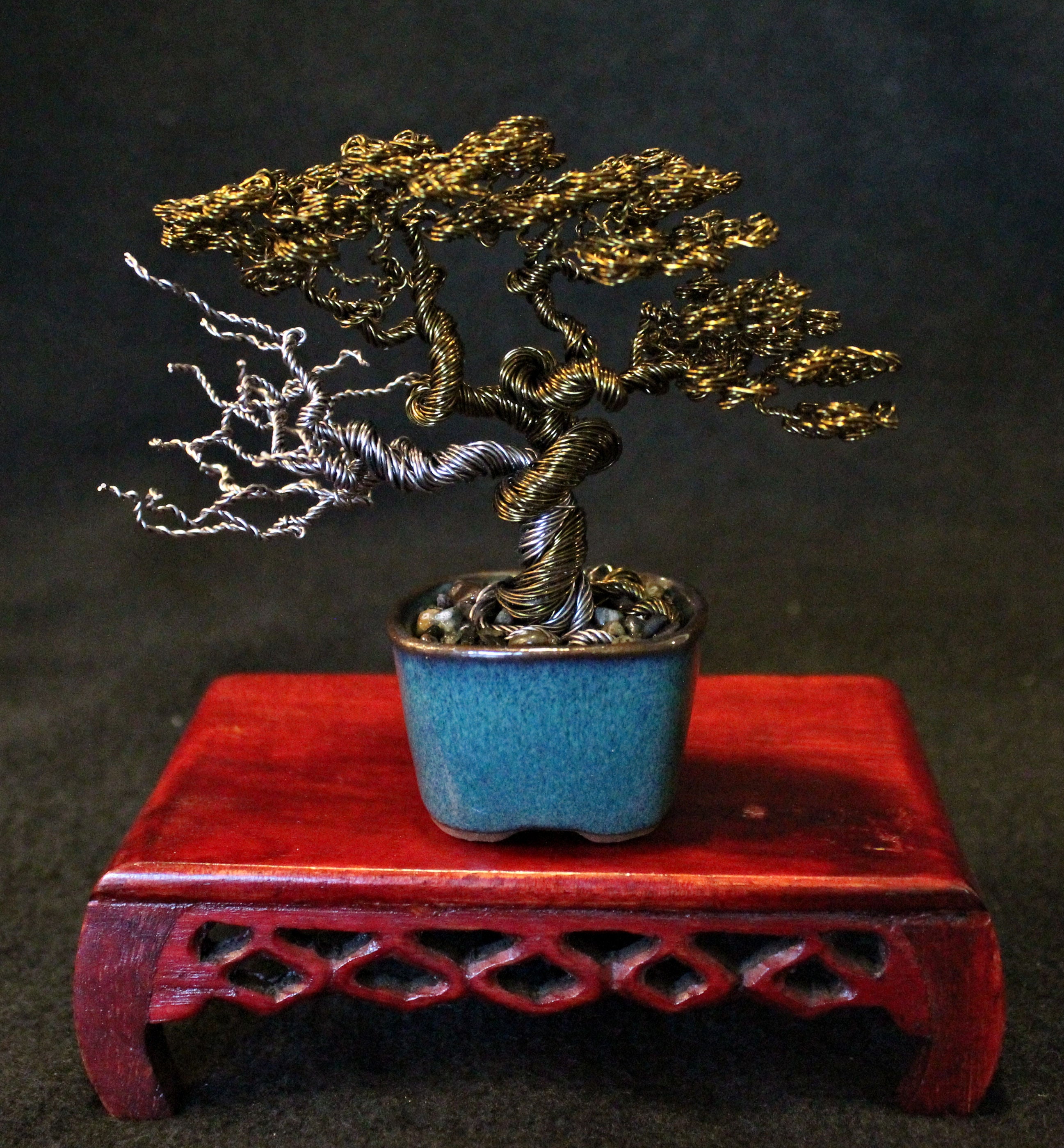 buy dead bonsai tree Informal Upright Bonsai with Dead Wood