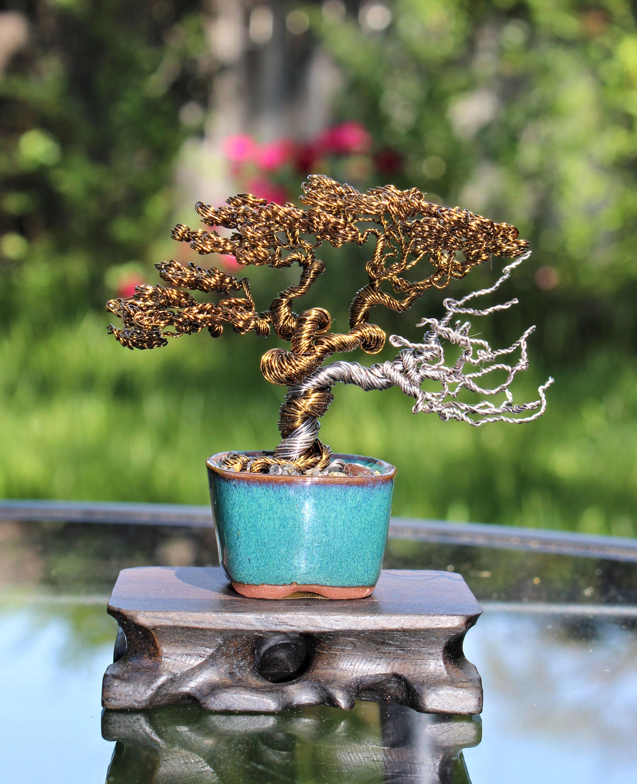 dead bonsai tree for sale Informal Upright Bonsai with Dead Wood