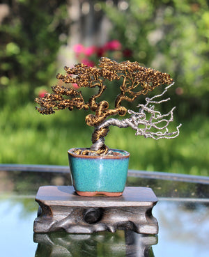 weirwood bonsai tree Informal Upright Bonsai with Dead Wood