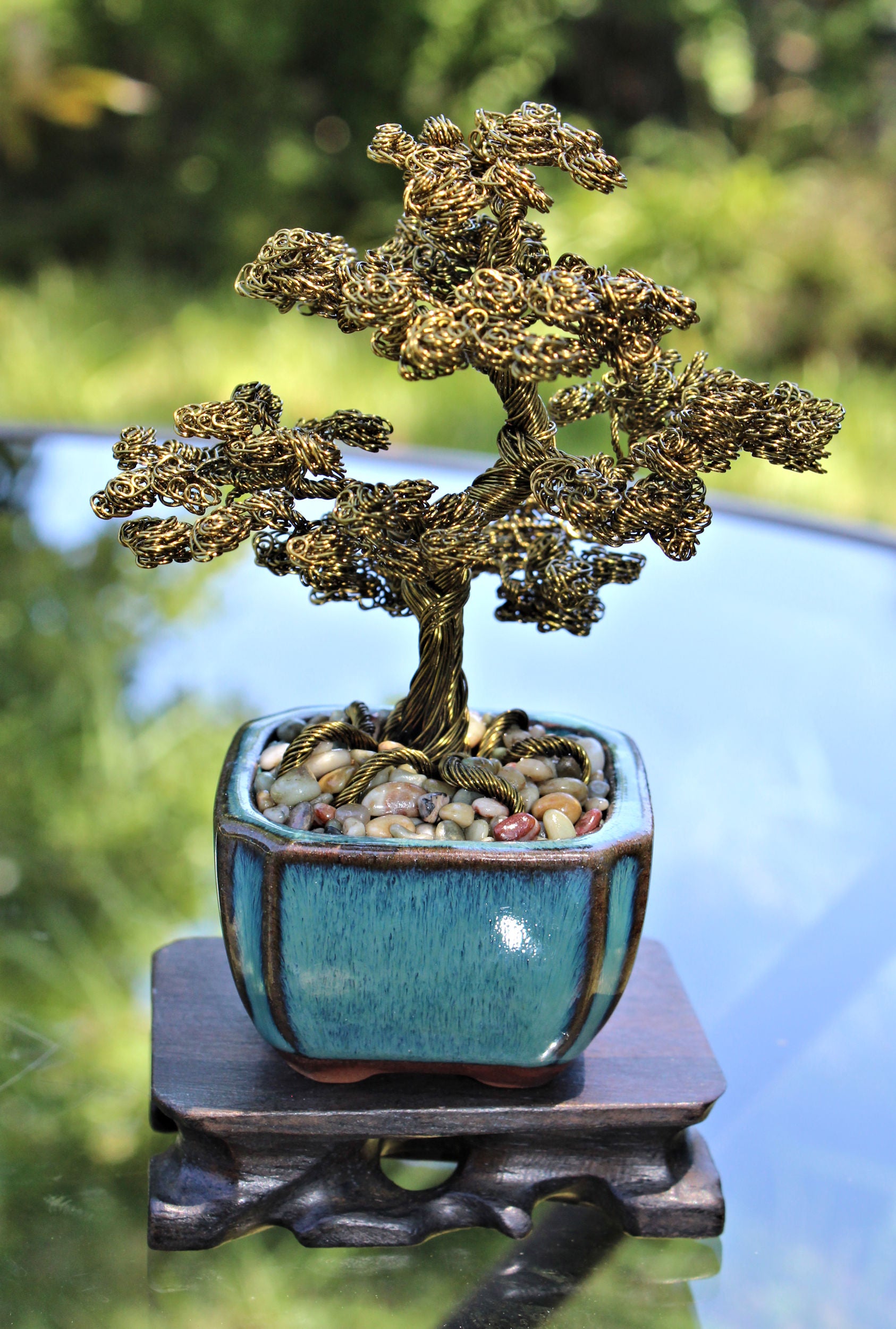 informal upright bonsai tree Informal Upright Bonsai in Jade Pebbles