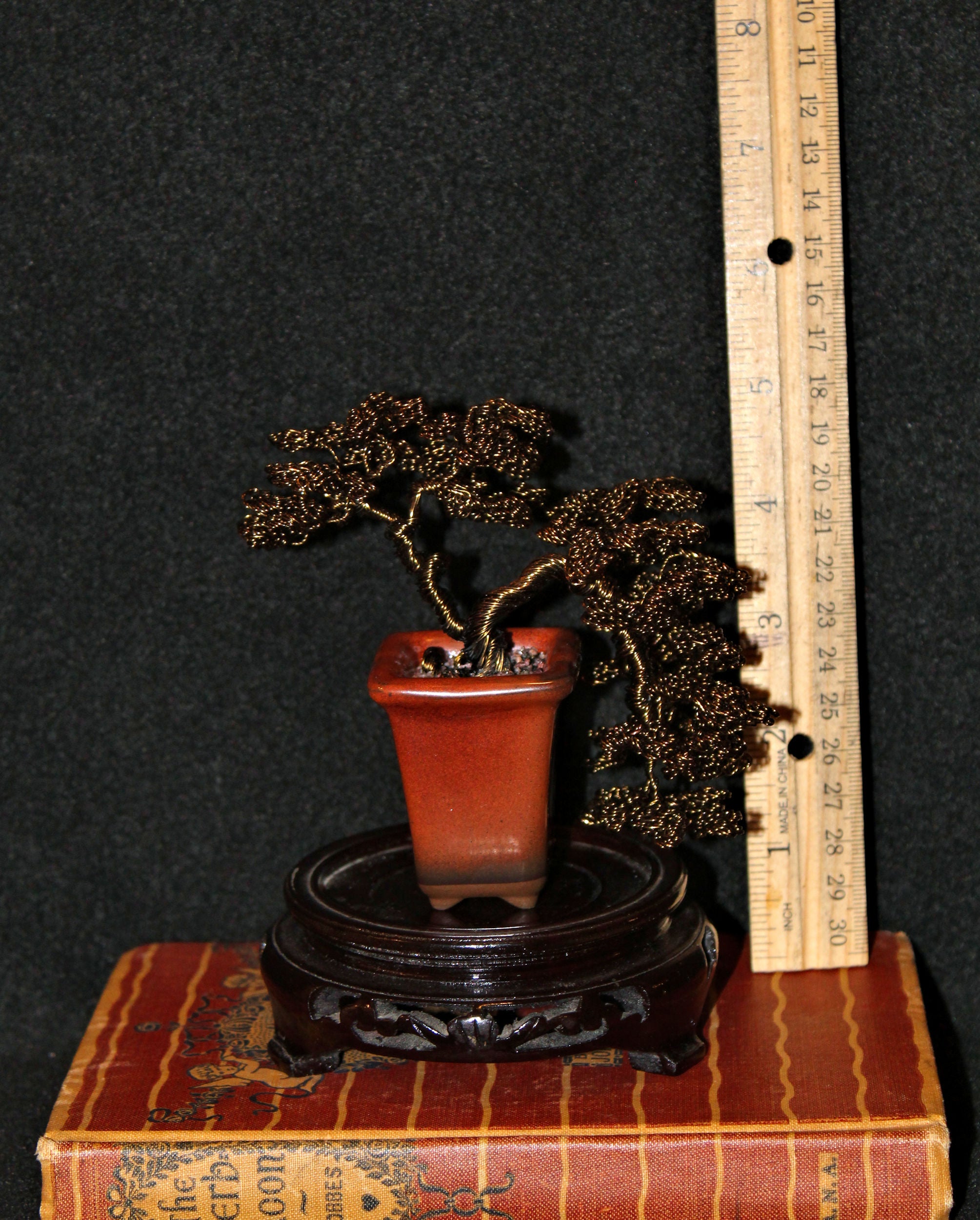 leafy bonsai tree Leafy Semi-Cascade Han-Kengai Bonsai – Forests and Flowers