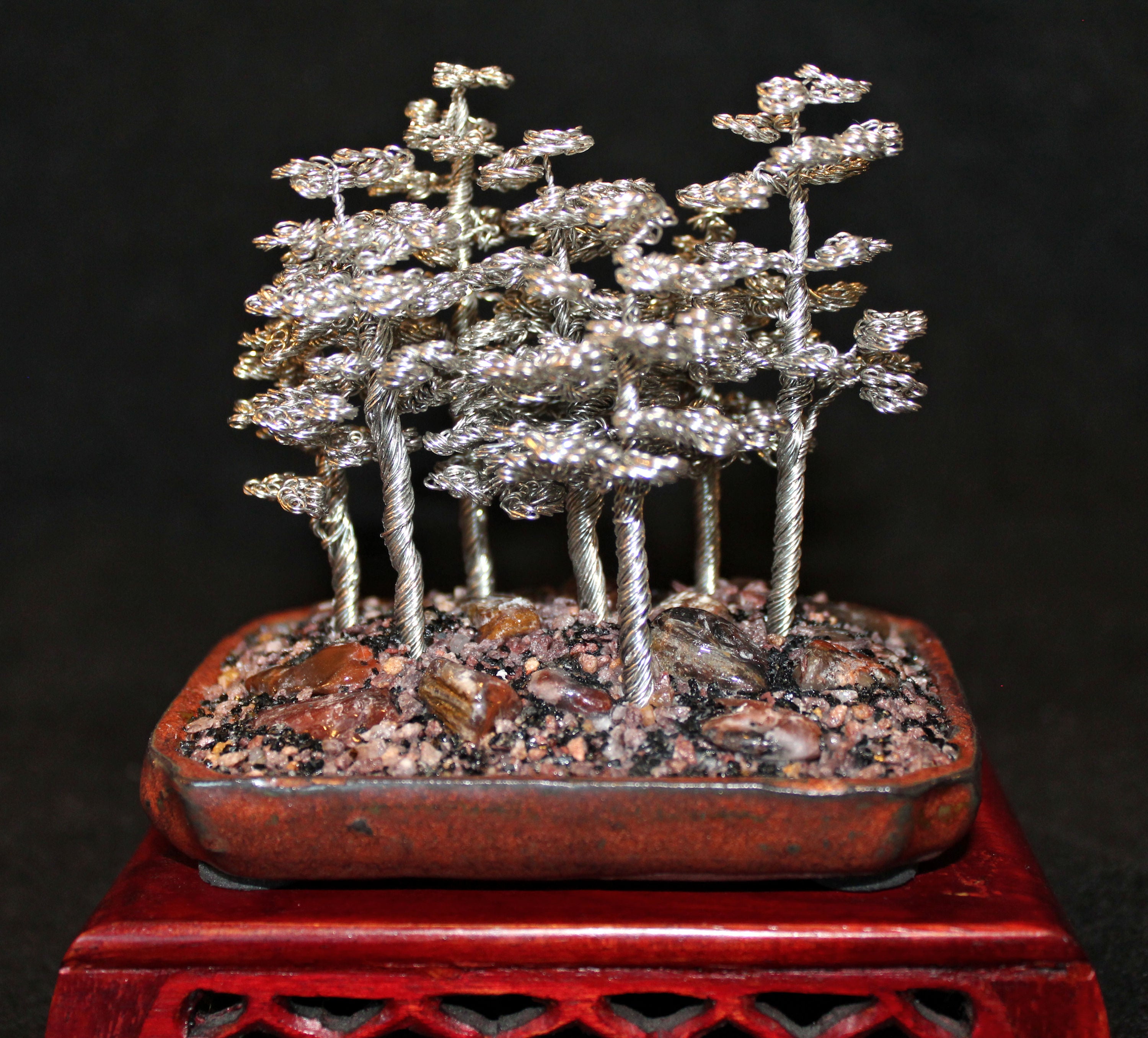bonsai tree mini forest Mini Silver Pine Tree Bonsai Forest