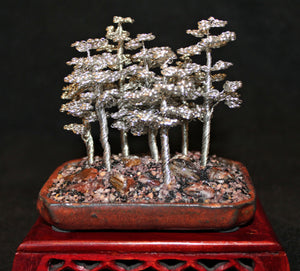 Mini Silver Pine Tree Bonsai Forest - SOLD