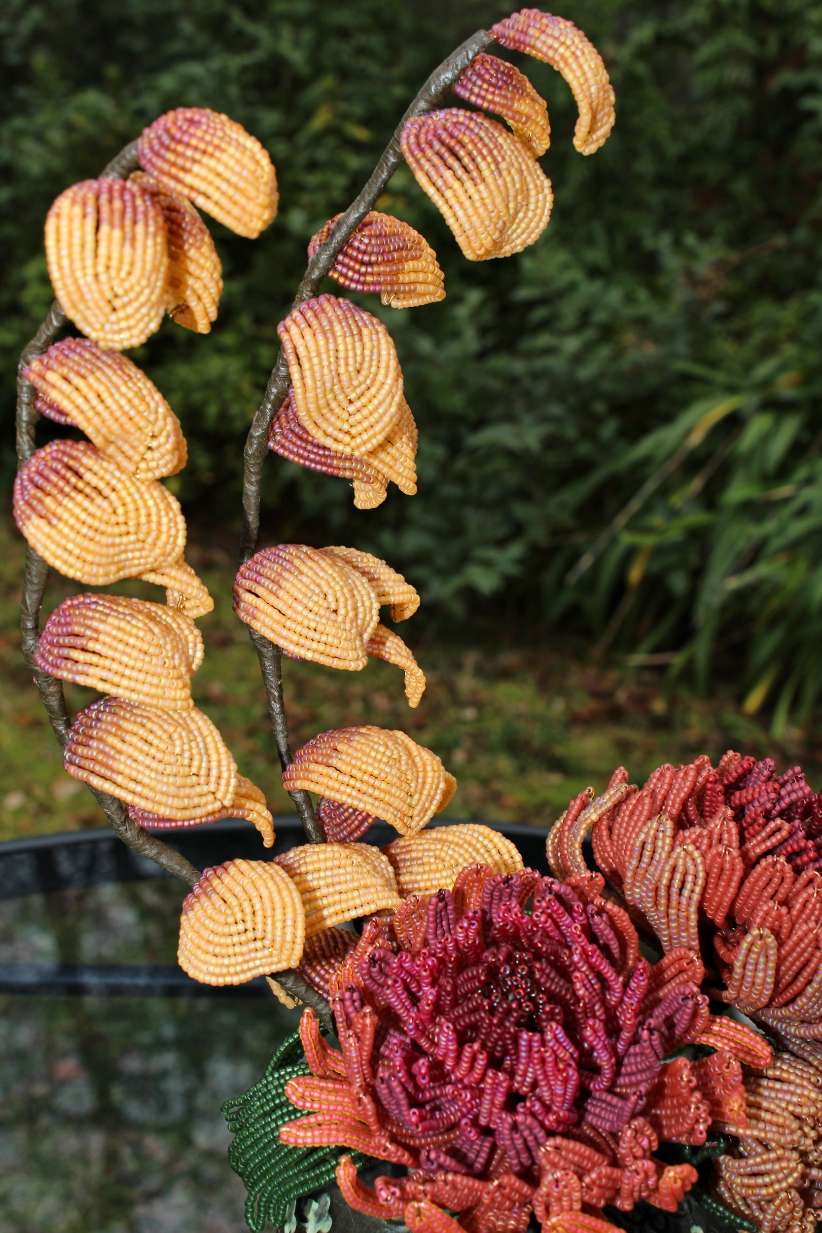 Marion Davies (Chrysanthemum and Golden Lantern Leaves)