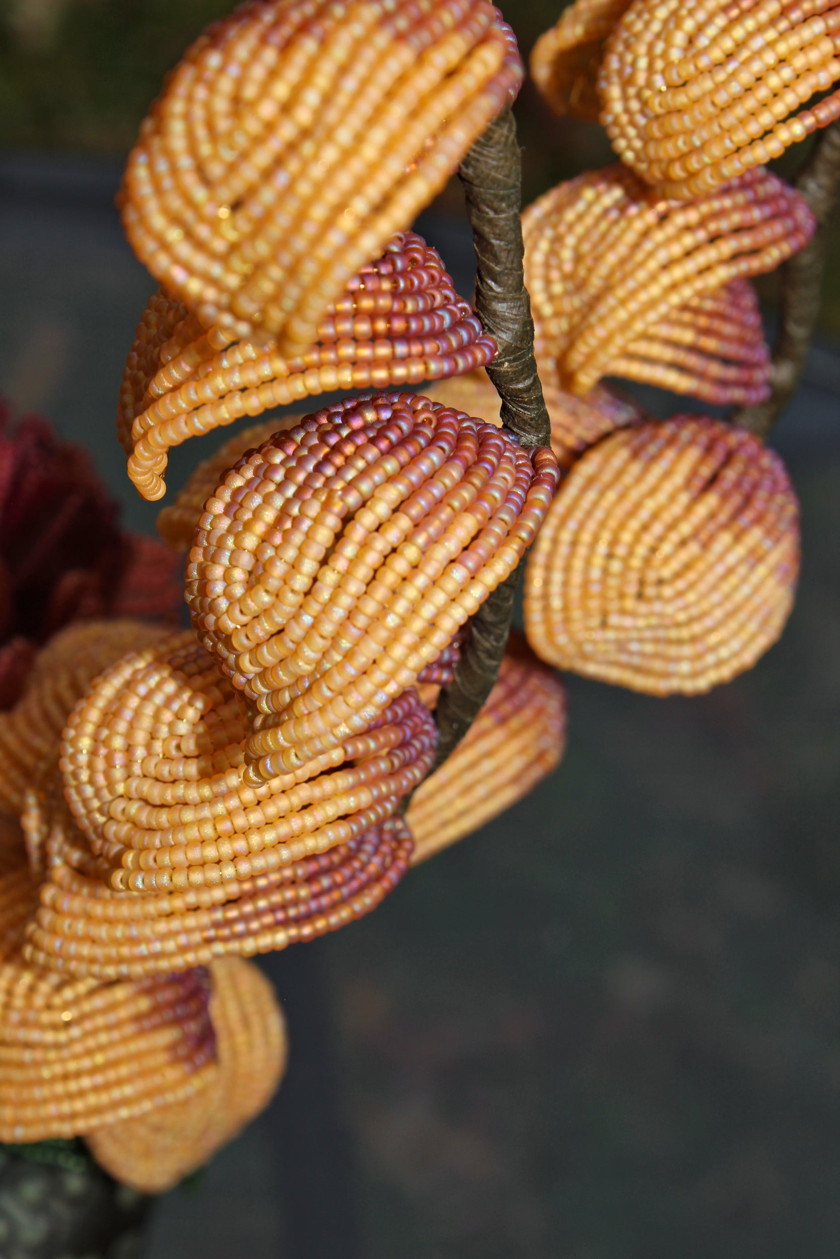 Marion Davies (Chrysanthemum and Golden Lantern Leaves)