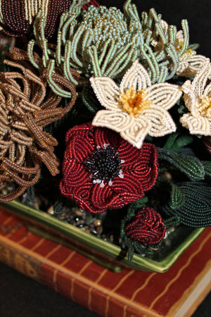 Greer Garson (Spider Mums, Tulip, Poppies, Paperwhites, and Beach Rose) - SOLD