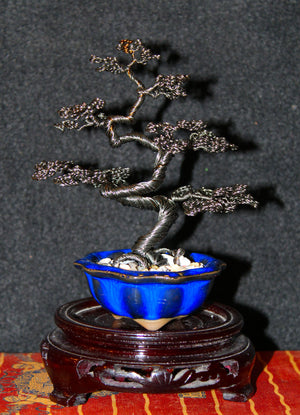 Gunmetal Informal Upright Bonsai in Blue Scalloped Pot - SOLD