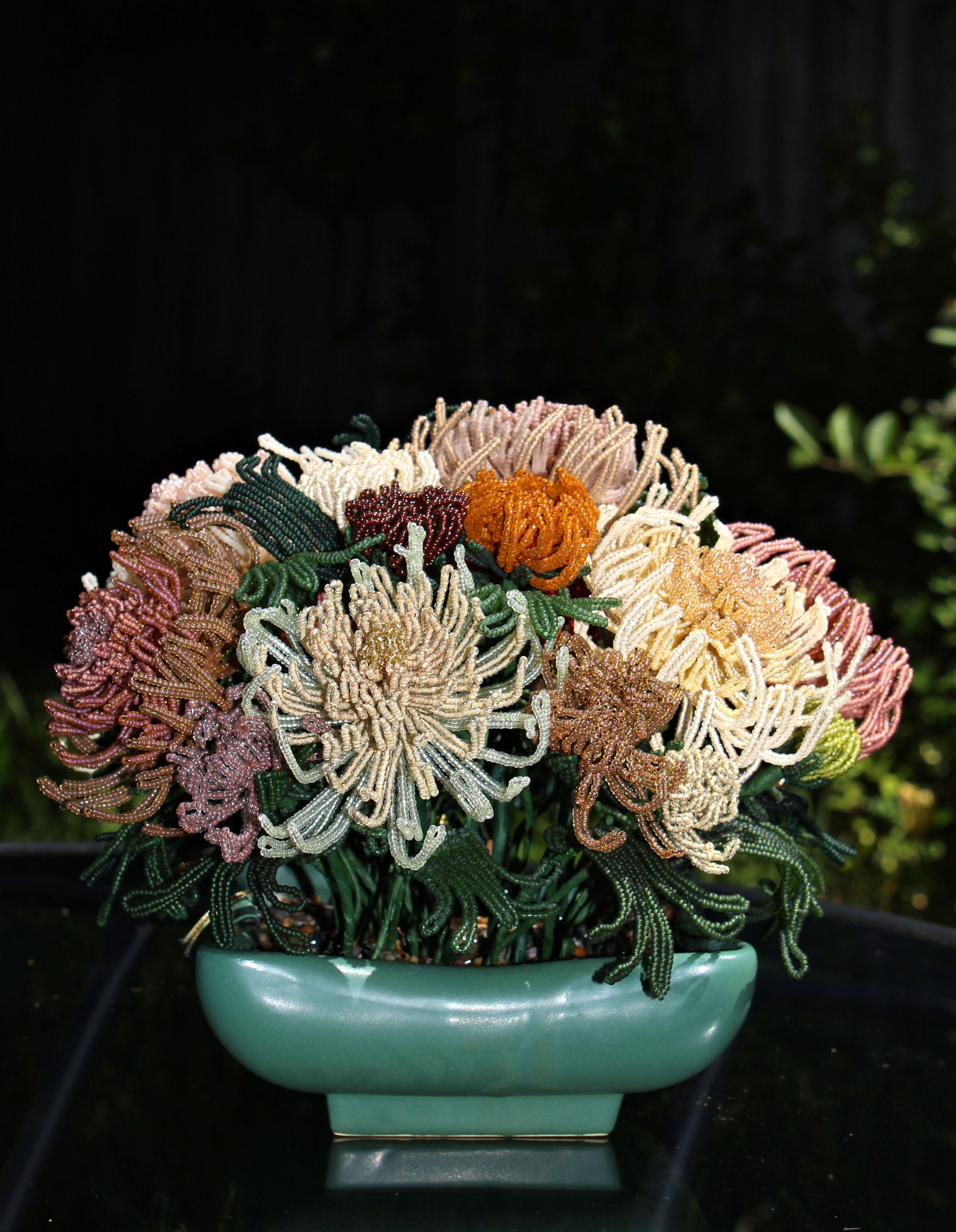 Ida Lupino (Spider Chrysanthemums) - SOLD