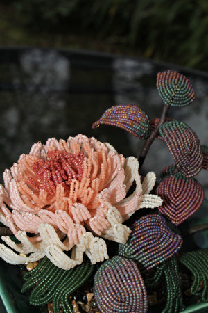 Lillian Gish (Chrysanthemum and Pine Needles) - SOLD