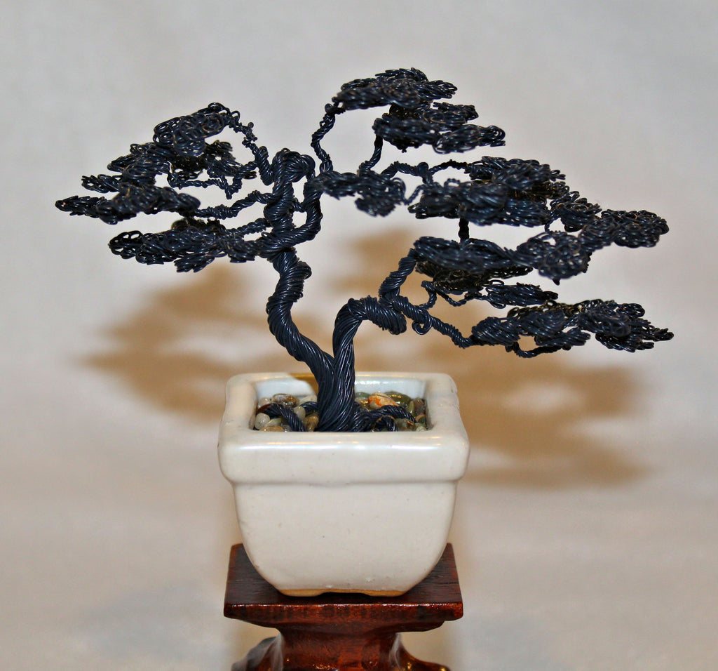 Semi-matte Black Twin Trunk Sokan Bonsai - SOLD