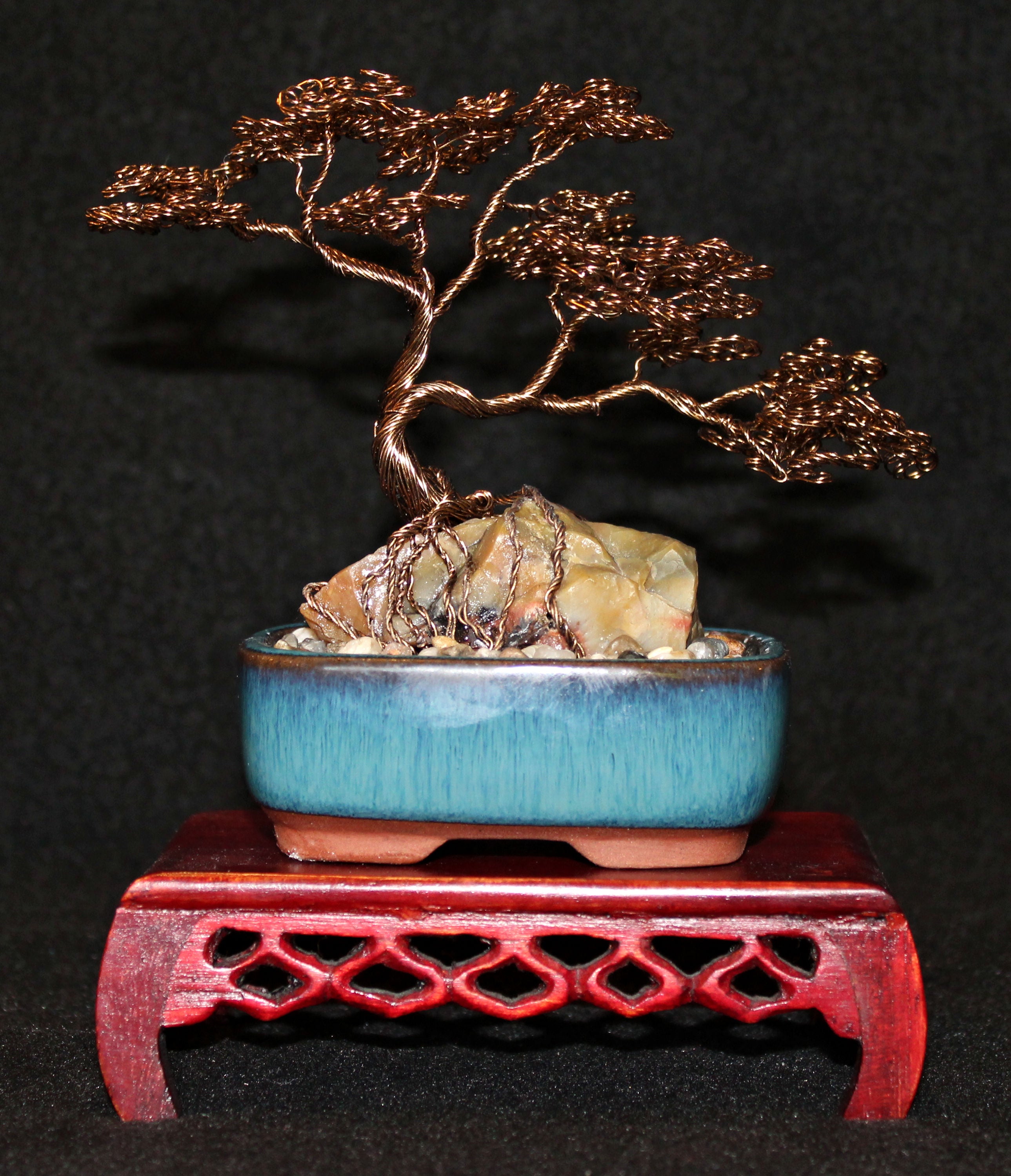 Root-over-Rock Seki-joju Bonsai on Petrified Wood - SOLD