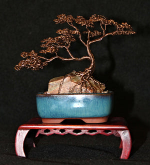 Root-over-Rock Seki-joju Bonsai on Petrified Wood - SOLD