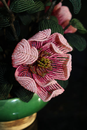 Miriam Hopkins  (Vibrant Pink Saucer Magnolia Arrangement) - SOLD