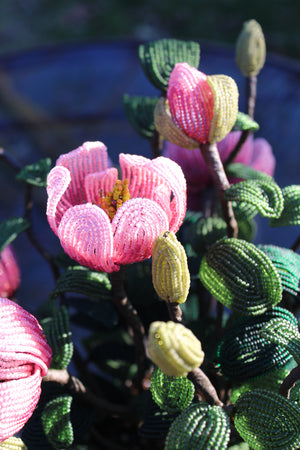 Miriam Hopkins  (Vibrant Pink Saucer Magnolia Arrangement) - SOLD