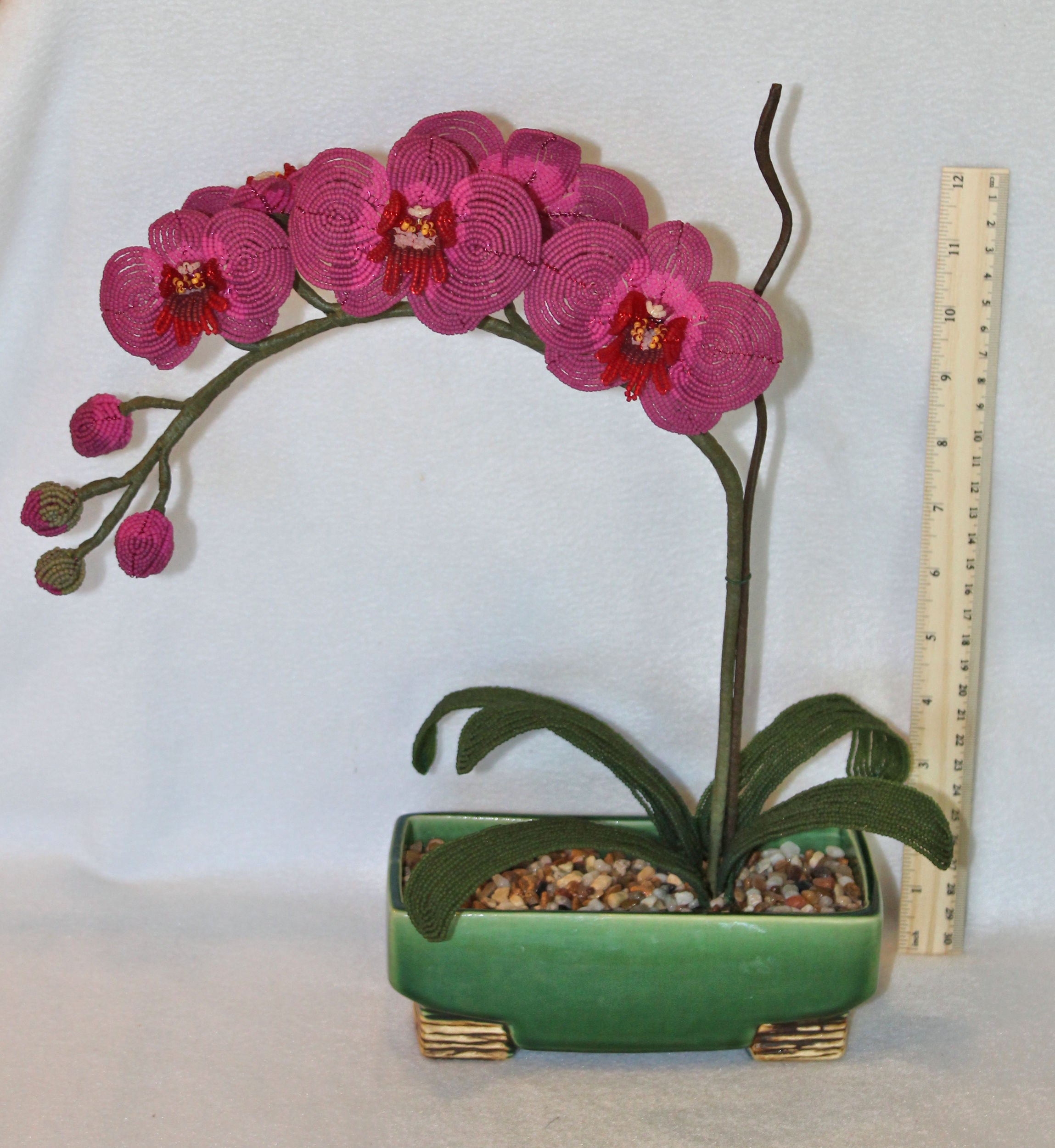 Vibrant Pink Moth Orchid (Phalaenopsis) - SOLD