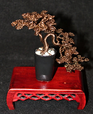 Semi-Cascade Han-kengai Bonsai in Jade Pebbles - SOLD