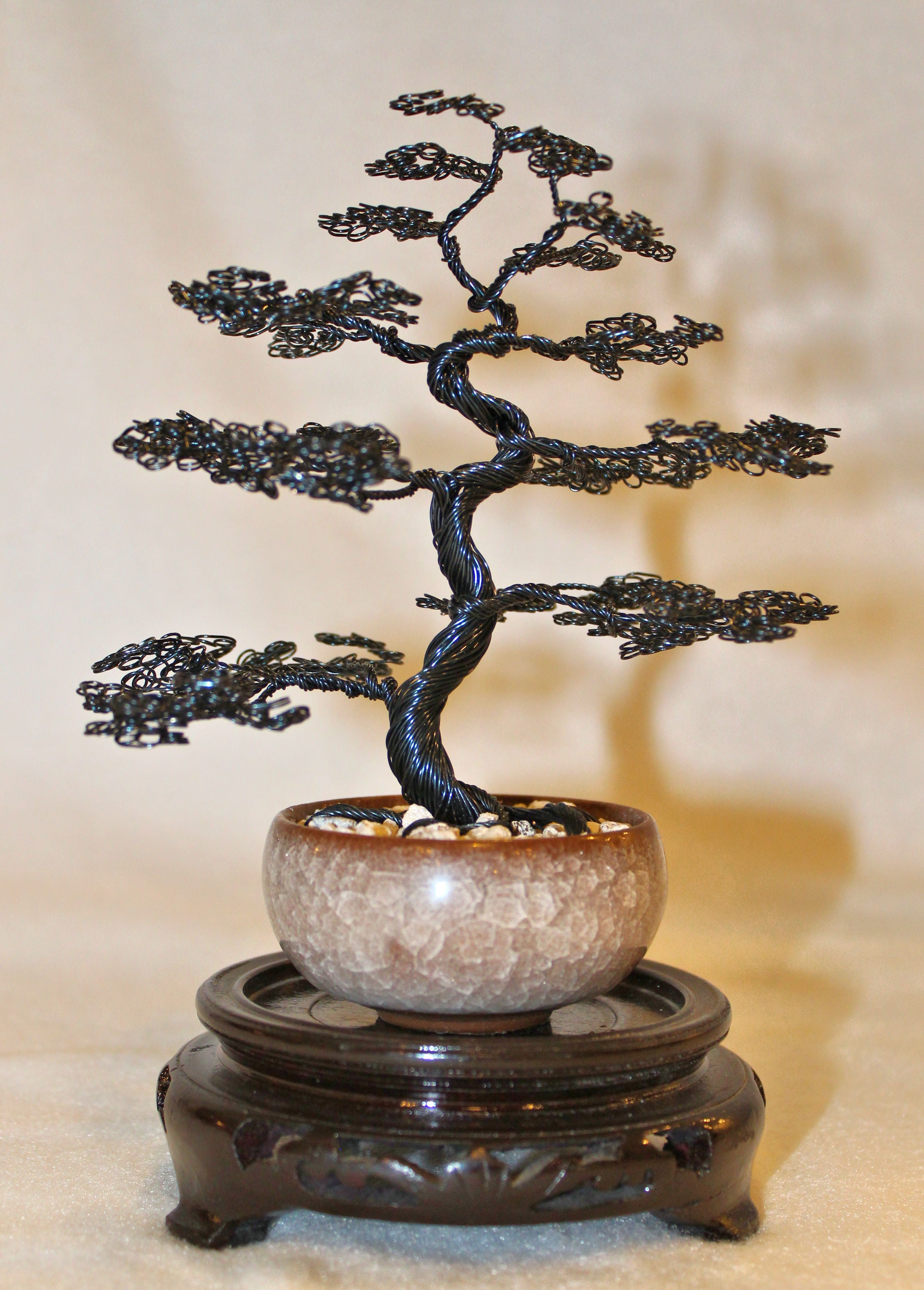 upright bonsai tree Shiny Black Informal Upright Bonsai