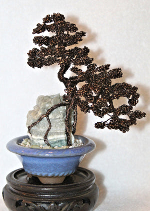 jade plant cascade bonsai Semi-cascade Bonsai over Ocean Jasper and Jade