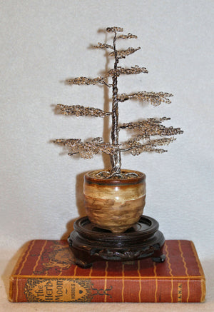 Large Silver Upright Formal Chokkan Bonsai Pine Tree - SOLD