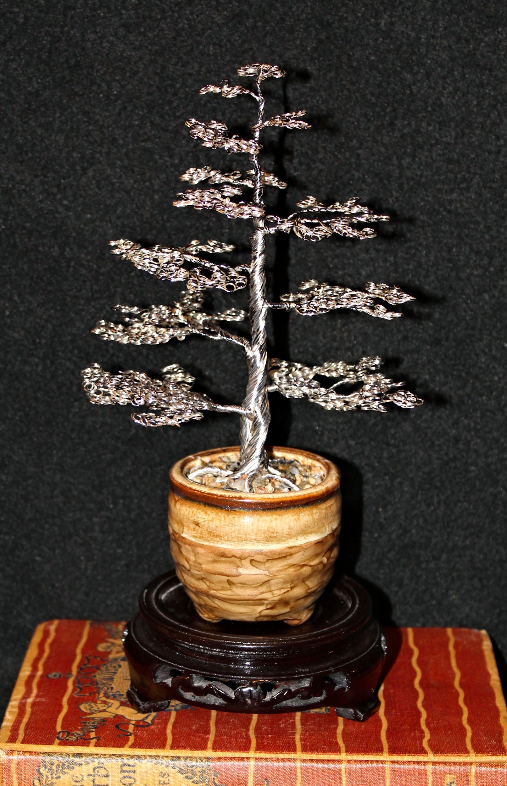 best pine tree for bonsai Large Silver Upright Formal Chokkan Bonsai Pine Tree