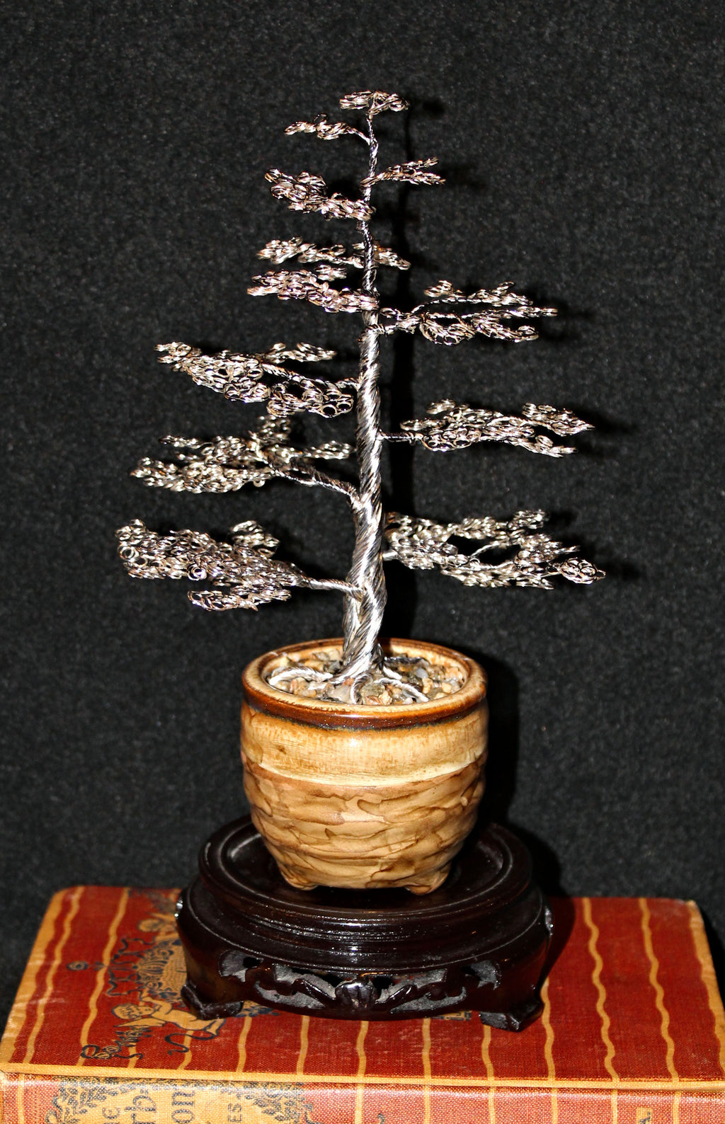 Large Silver Upright Formal Chokkan Bonsai Pine Tree - SOLD