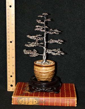 Large Silver Upright Formal Chokkan Bonsai Pine Tree - SOLD