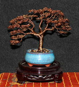 Antique Copper Upright Formal Bonsai with Exposed Roots - SOLD