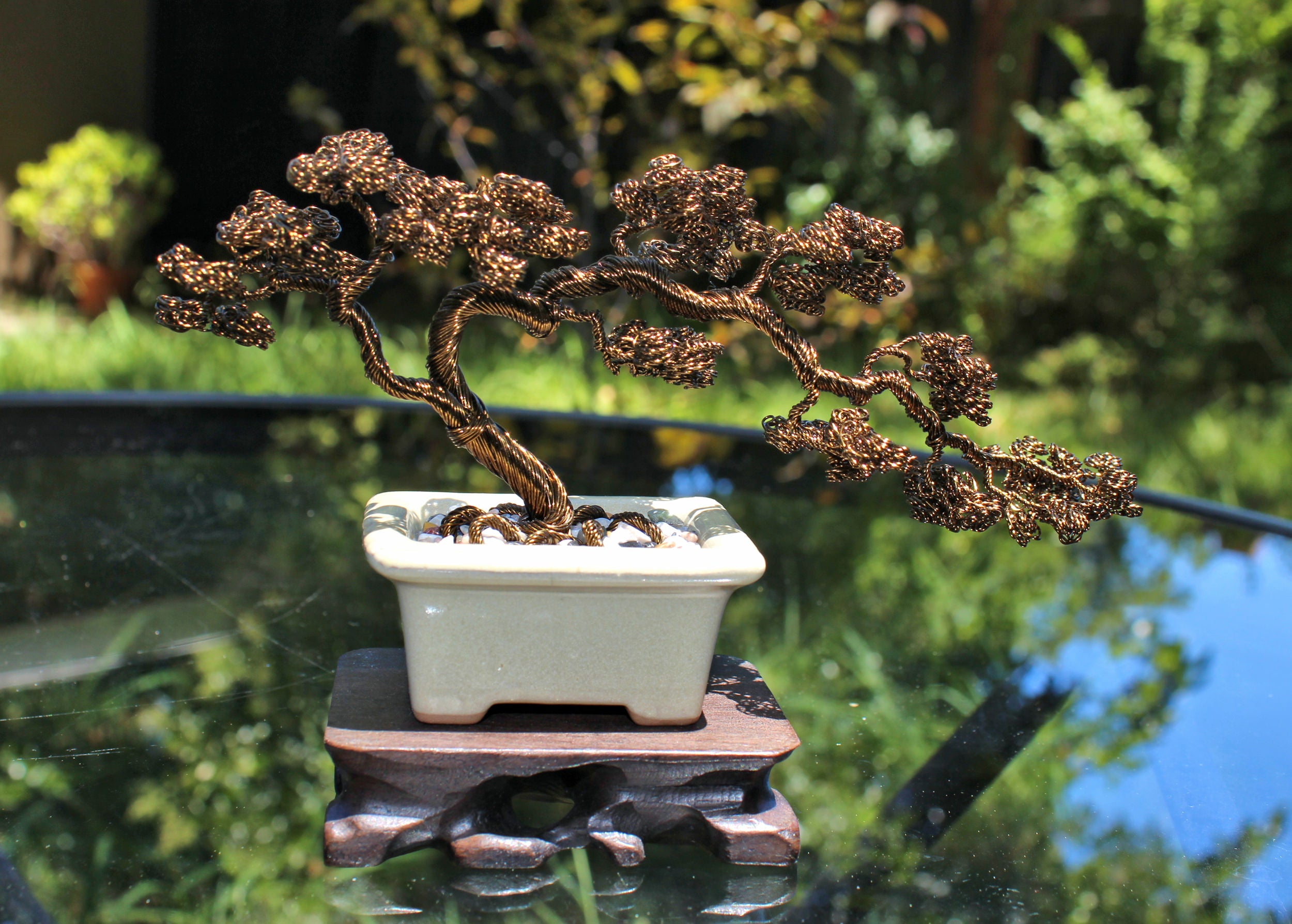 windswept bonsai tree Long Windswept Bonsai
